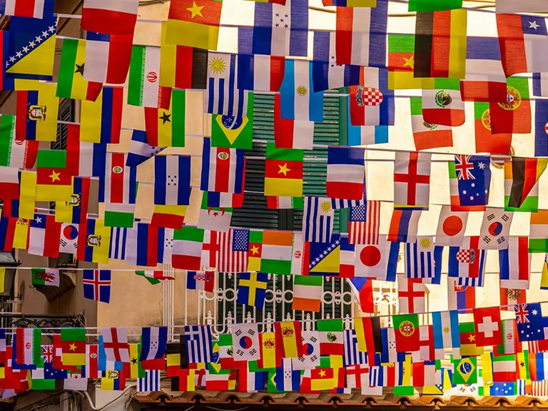 Polyester flags, teardrop banners and exhibition signage